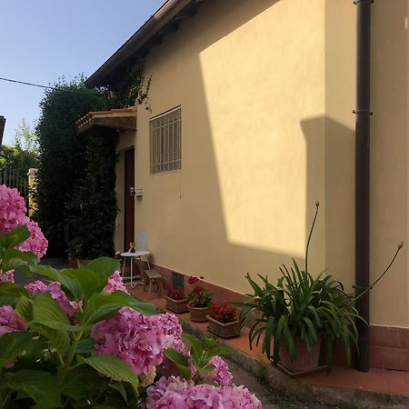 Apartamento Casina Di Nina Livorno Exterior foto